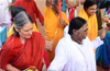 Consider service as a responsibility, Amma tells her devotees